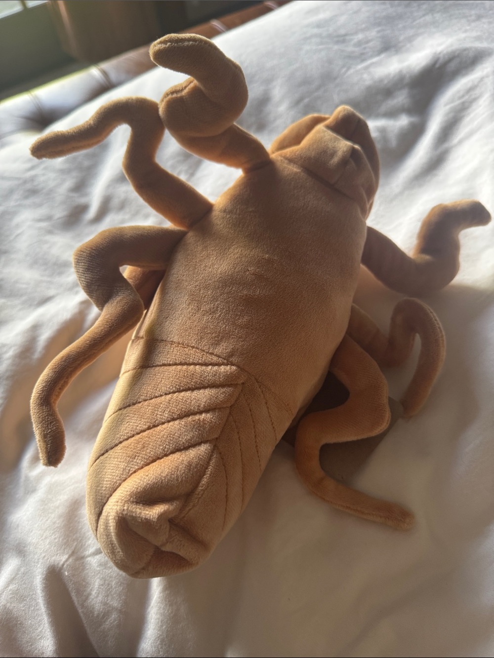 Cicada plushie - Picture 4 of 7